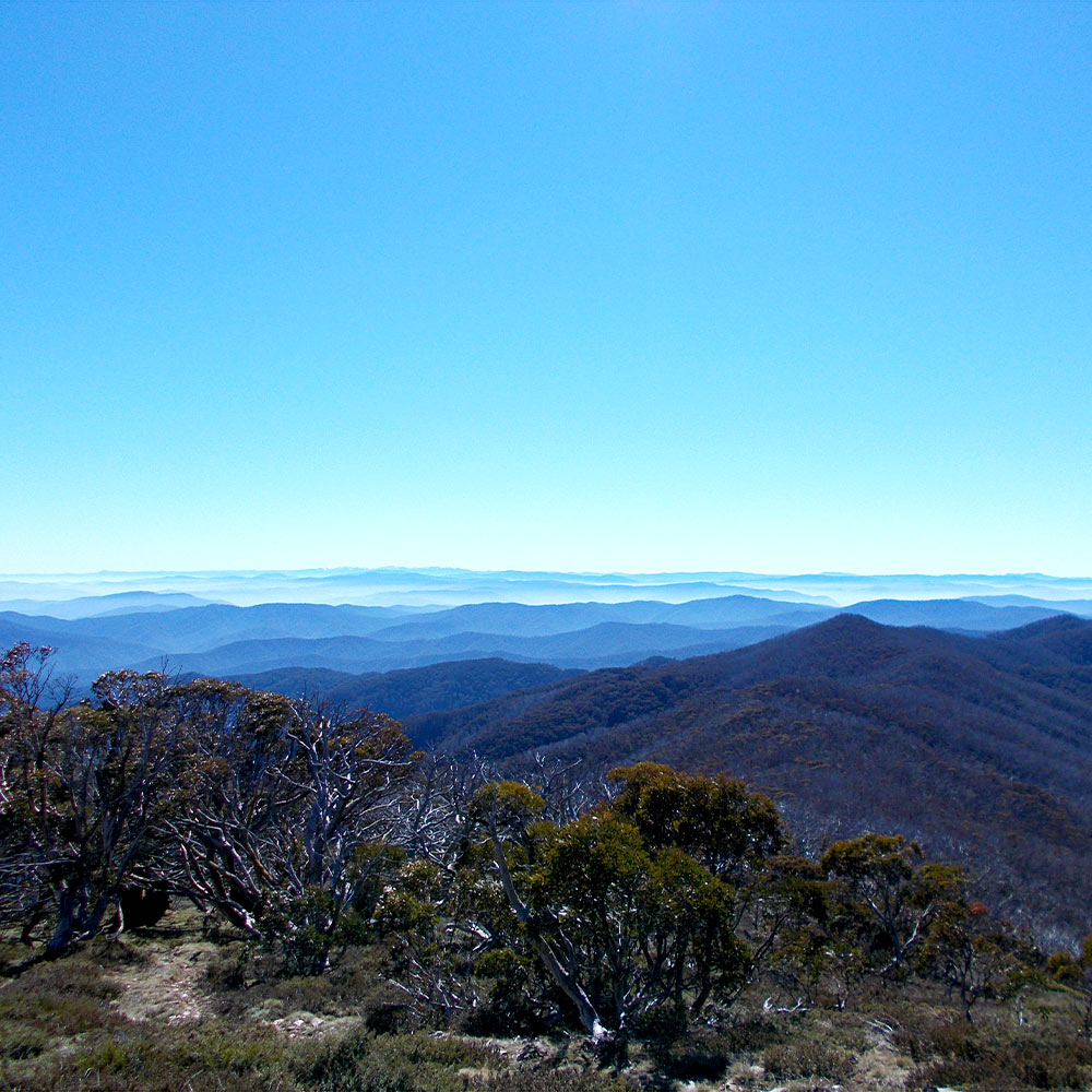 The Australian Snowy Mountains along the Australian Alps Walking Track. By Mont staff member Hilly