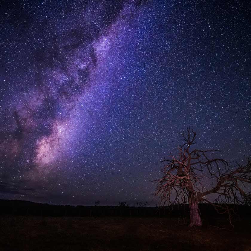 Cider Gum and Galactic Core. By Geoff Murray