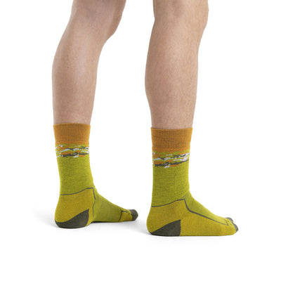 Icebreaker Mens Hike+ Medium Crew Sedimentary