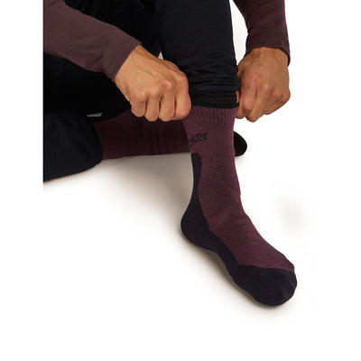 Icebreaker Merino Hike+ Heavy Crew Sock Mens