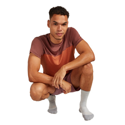 Icebreaker Merino Hike+ Light Crew Sock Mens