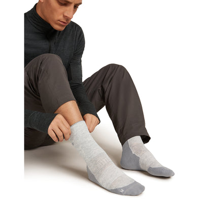 Icebreaker Merino Hike+ Light Crew Sock Mens