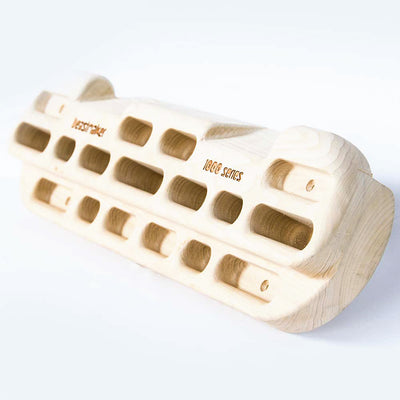 Beastmaker 1000 Hangboard