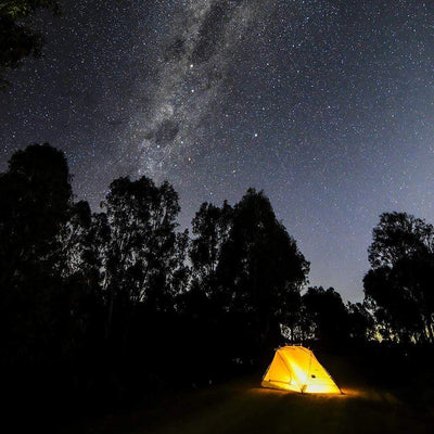 Mont Tents & Shelters Dragonfly Tent Forest Green 61.10.04