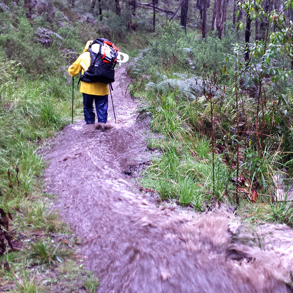 2016 Adventures at Mont