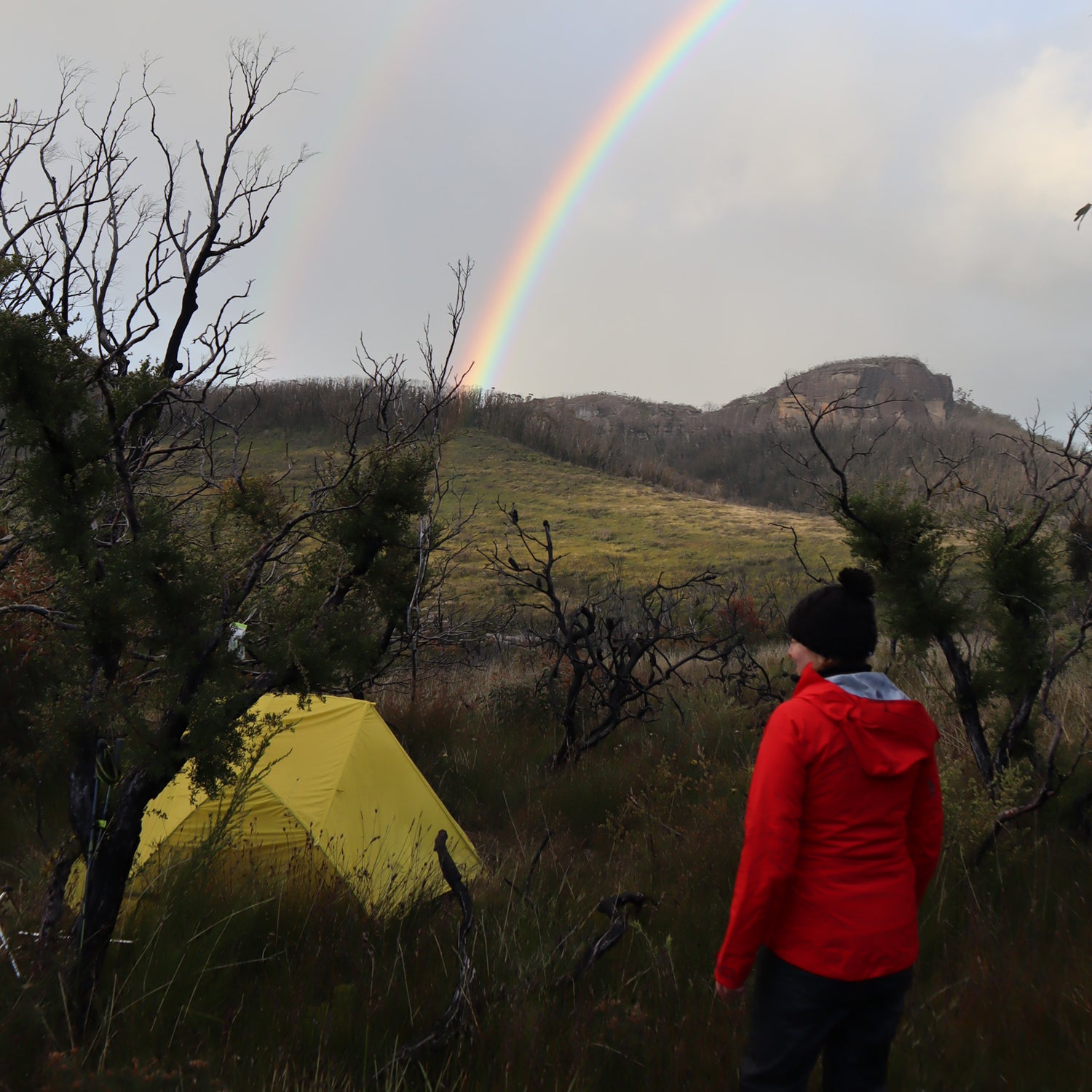 Moondance 2 under a Rainbow