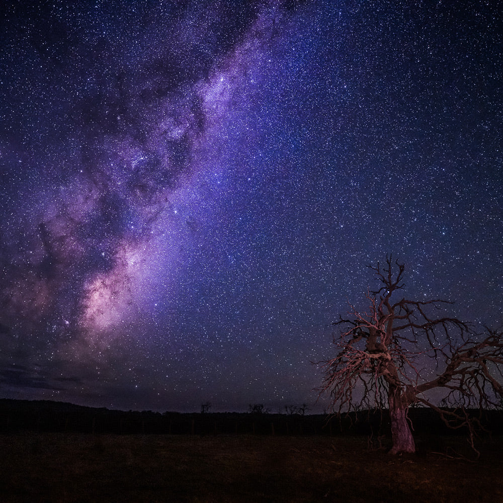 Potpourri. By Geoff Murray