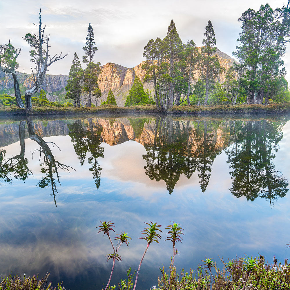 Below Zero in the Zero