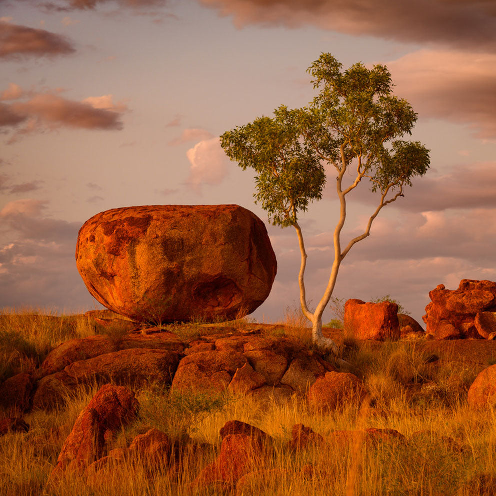 The Krypton goes Outback