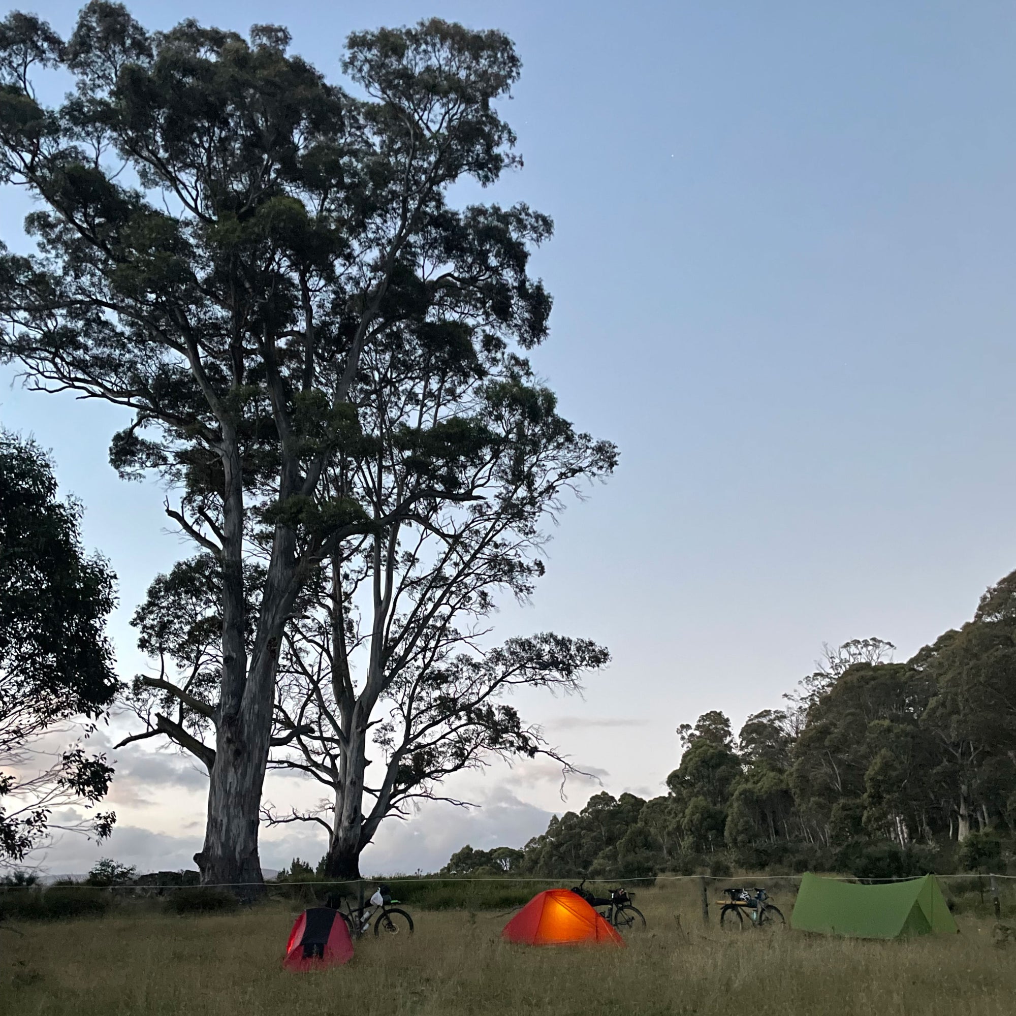 Bikepacking the beaten track - Mont on the Tas trail.