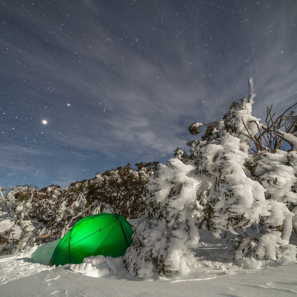 The Mont Dragonfly in the NSW Snowy Mountains. By Mike Edmondson