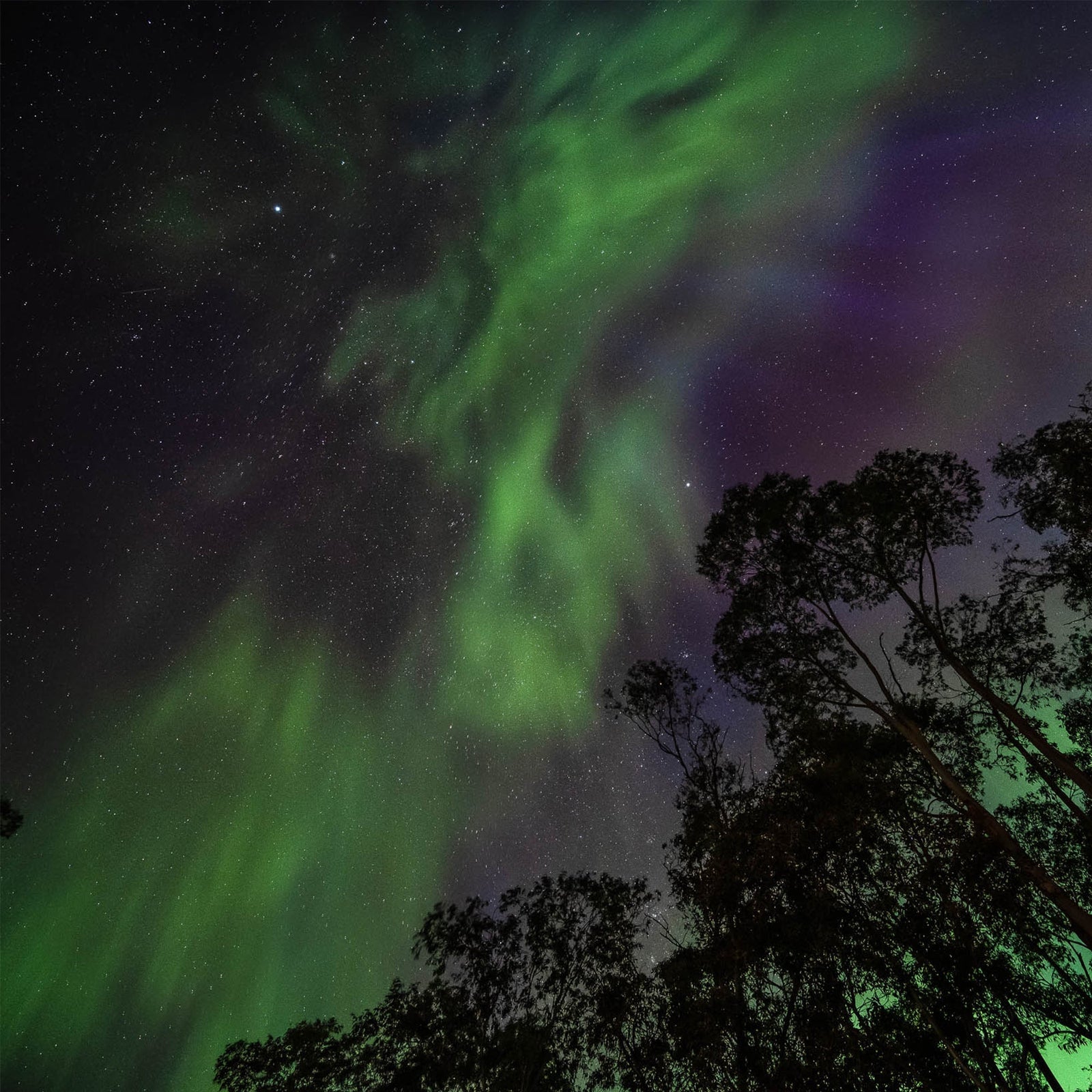 Summer in the Mountains