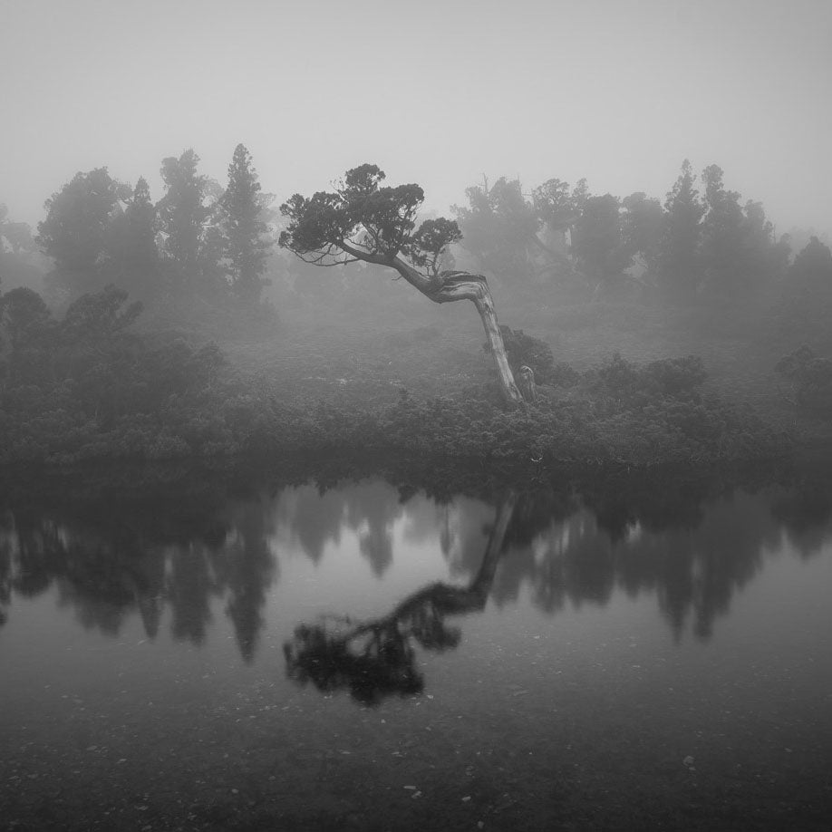 The Chill Approaches