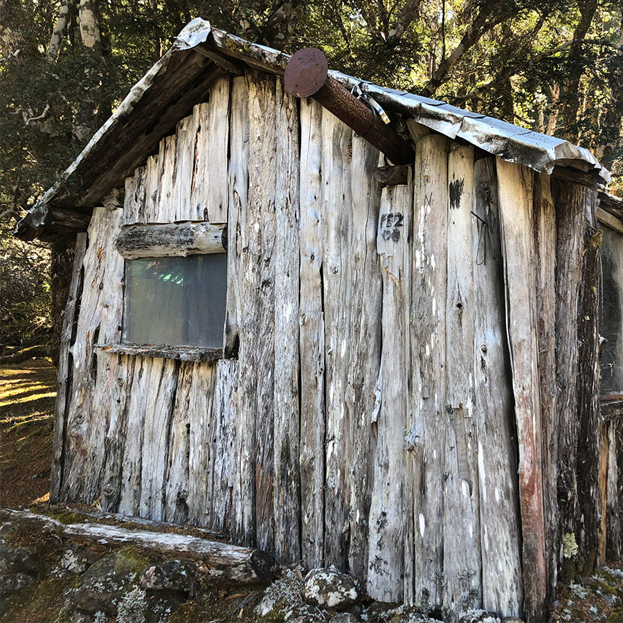 Exploring Skullbone Plains