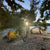 Whitsundays Kayaking - 4 season tent in the Tropics
