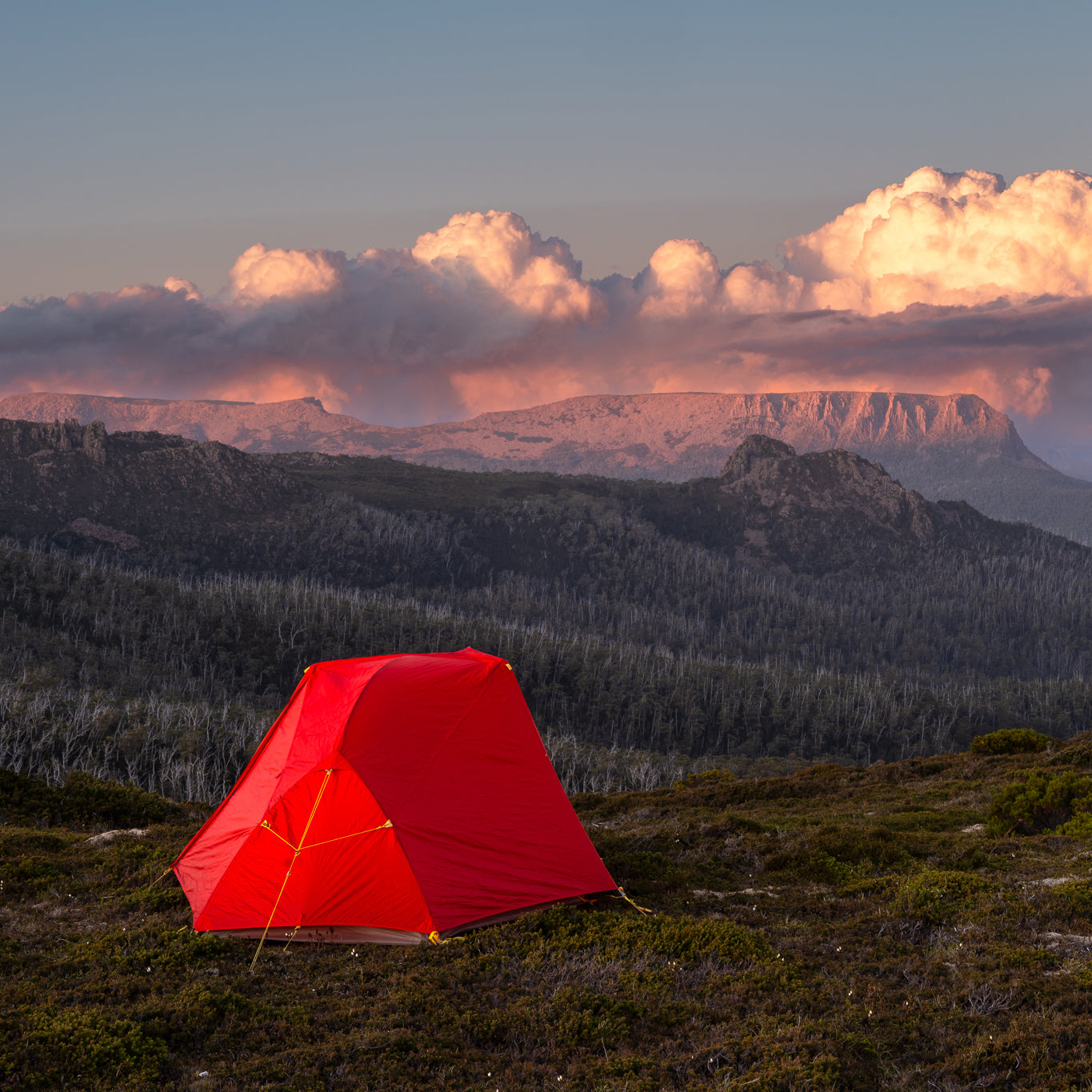 Visiting the True World