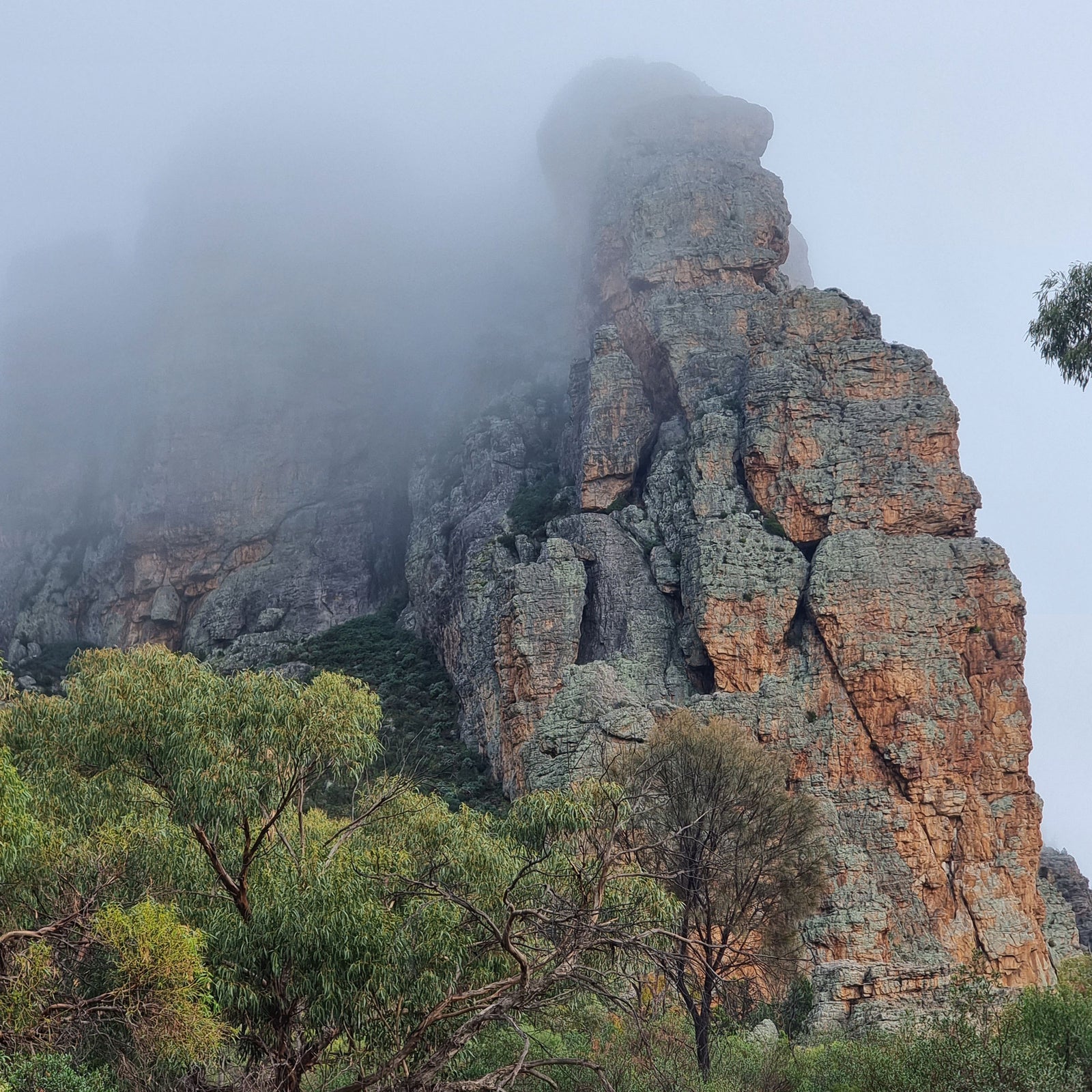 Climbing in Arapiles (Part III) - My Final Departure