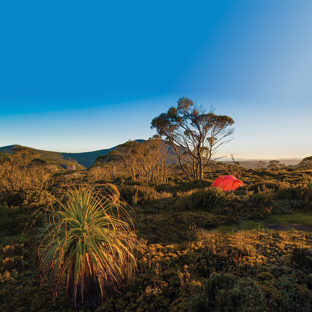 The Overland Track, Tasmania. By Geoff Murray