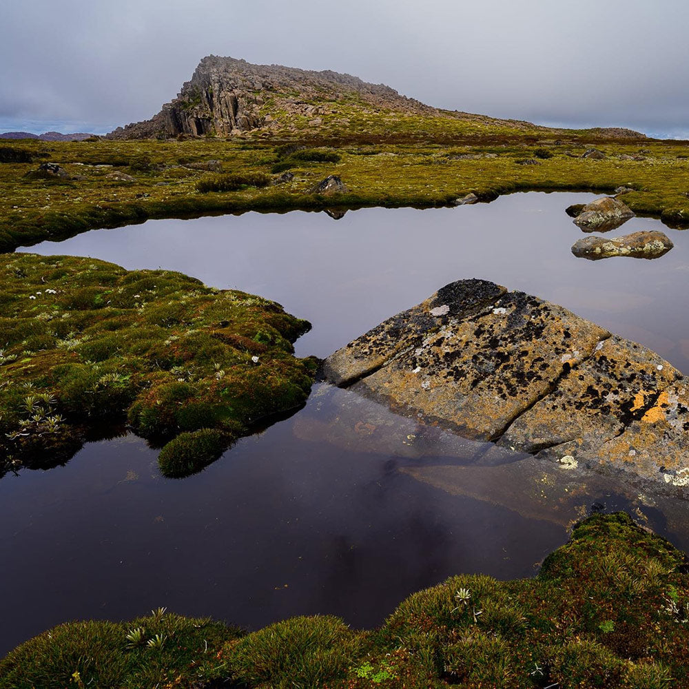 Mt Field National Park. By Geoff Murray