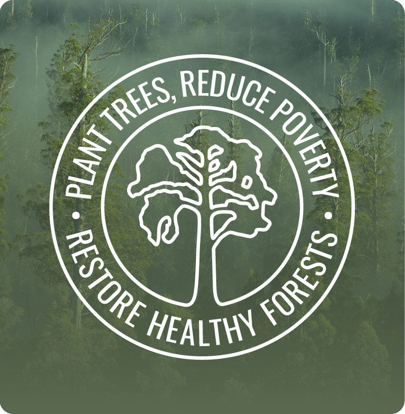 Thanks to you over 150,000 Trees Were Planted in 2021