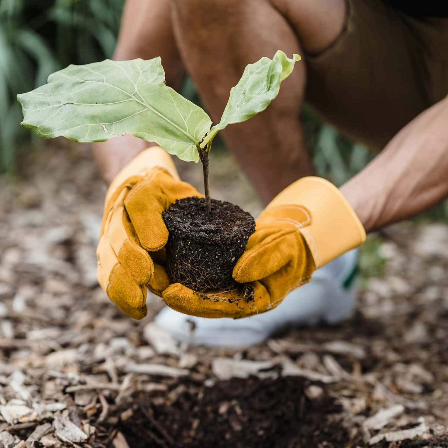 Making the most of Earth Day 2024