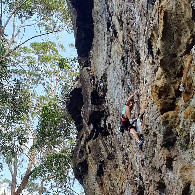 Meet The Mont Team - Kale