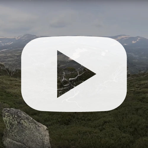 Save Our Snow-Gum: Seminar recording. By Dr Matthew Brookhouse