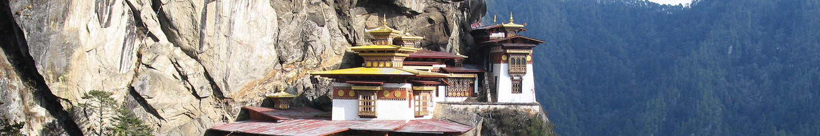 Sandals & Travel Shoes