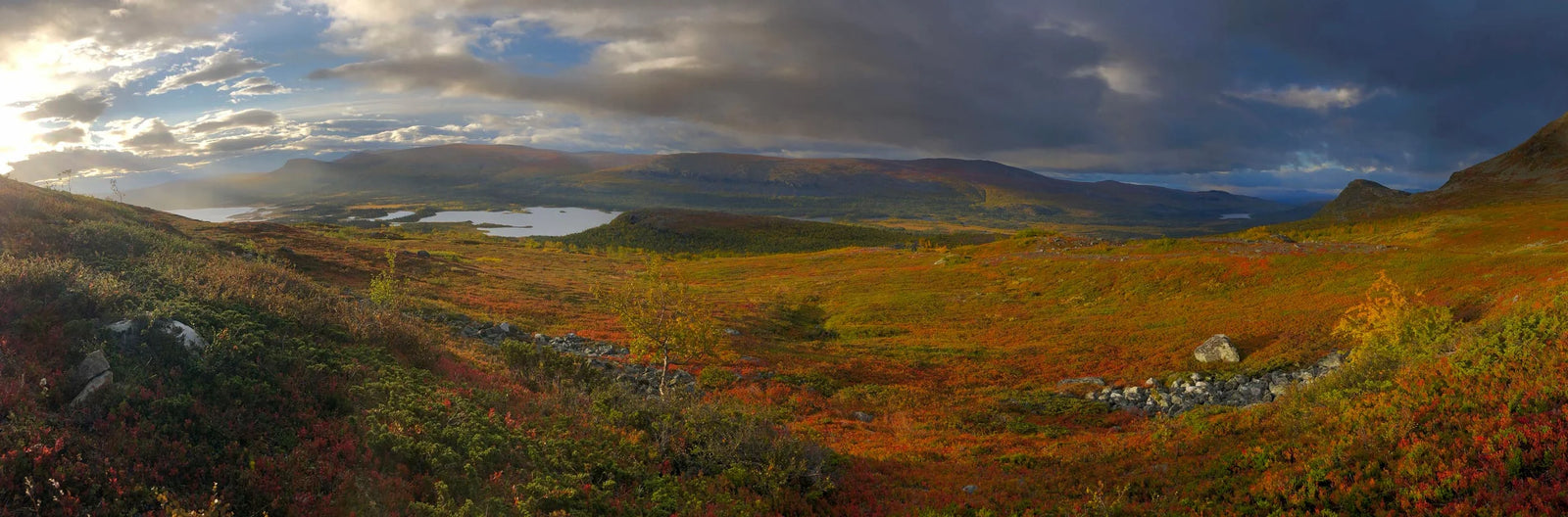 Women's Hiking Pants