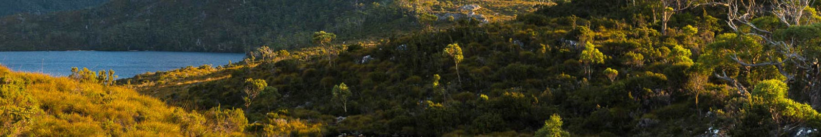 Baby Carrier Backpacks