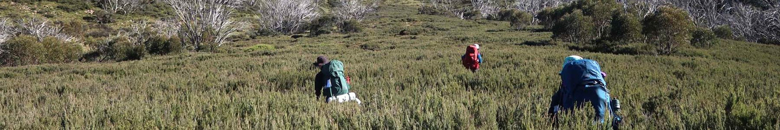 Multiday Hiking Packs