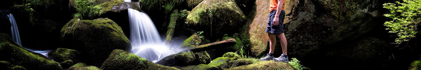 Men's Shorts & Pants