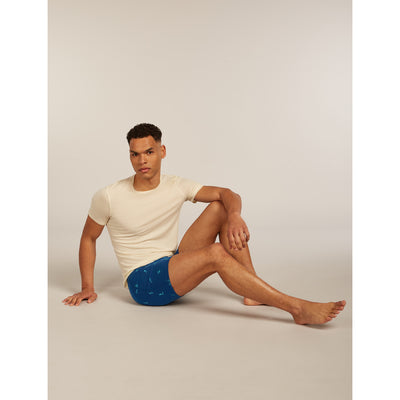 Icebreaker Merino 150 Anatomica Boxers Snow Day Mens