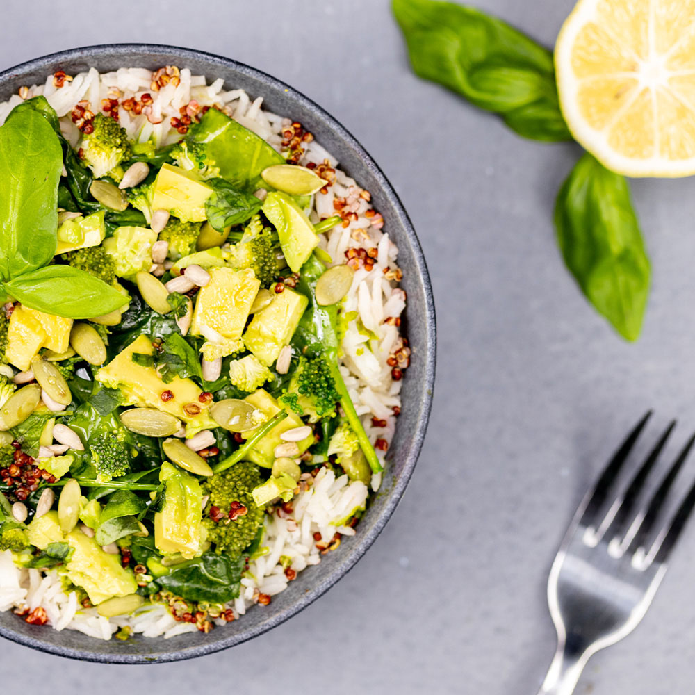 Radix Nutrition ORIGINAL 600kcal Meal V9