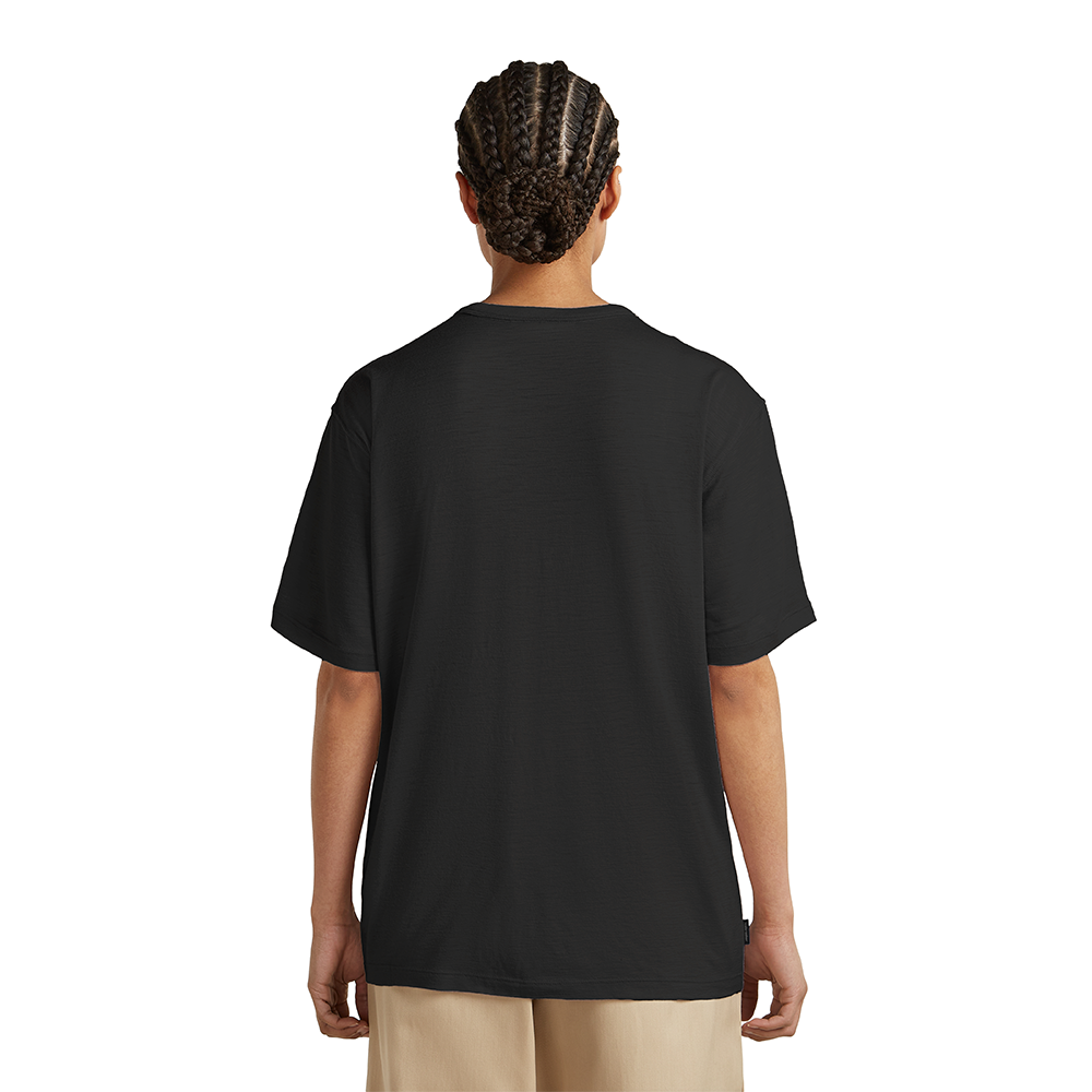 Icebreaker Merino 150 Tech Lite SS Relaxed Tee Mountain Shift Women's