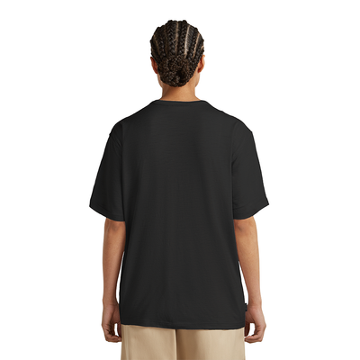 Icebreaker Merino 150 Tech Lite SS Relaxed Tee Mountain Shift Women's
