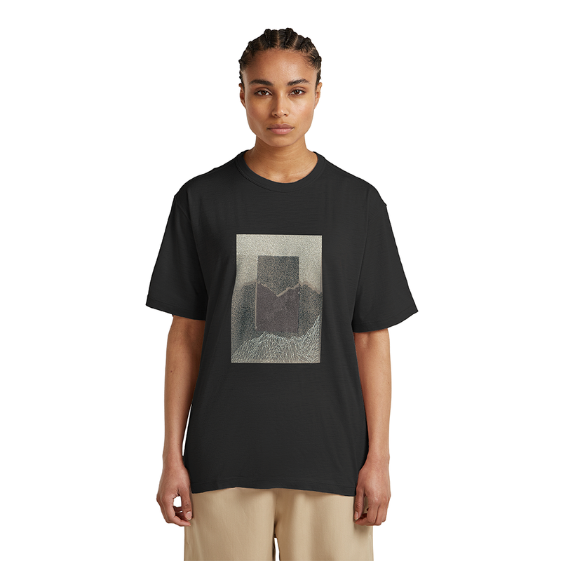 Icebreaker Merino 150 Tech Lite SS Relaxed Tee Mountain Shift Women's