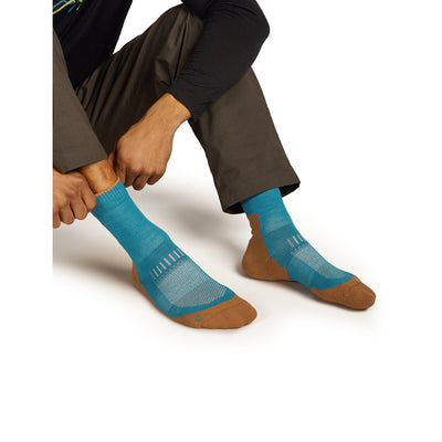 Icebreaker Merino Hike+ Light Crew Sock Mens