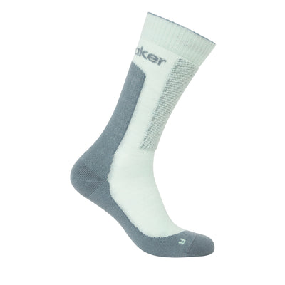 Icebreaker Merino Hike+ Medium Crew Sock Mens