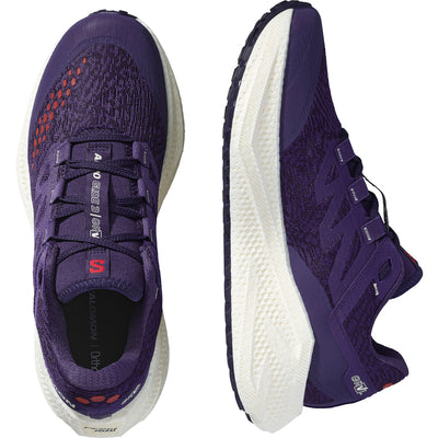 Salomon Aero Glide 3 GRVL Mens