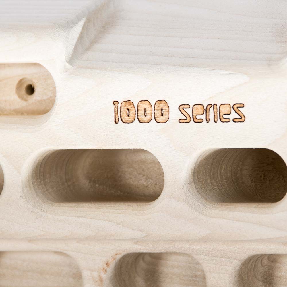 Beastmaker 1000 Hangboard