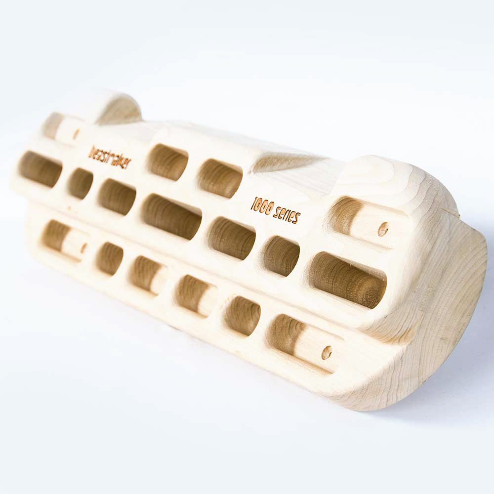 Beastmaker 1000 Hangboard