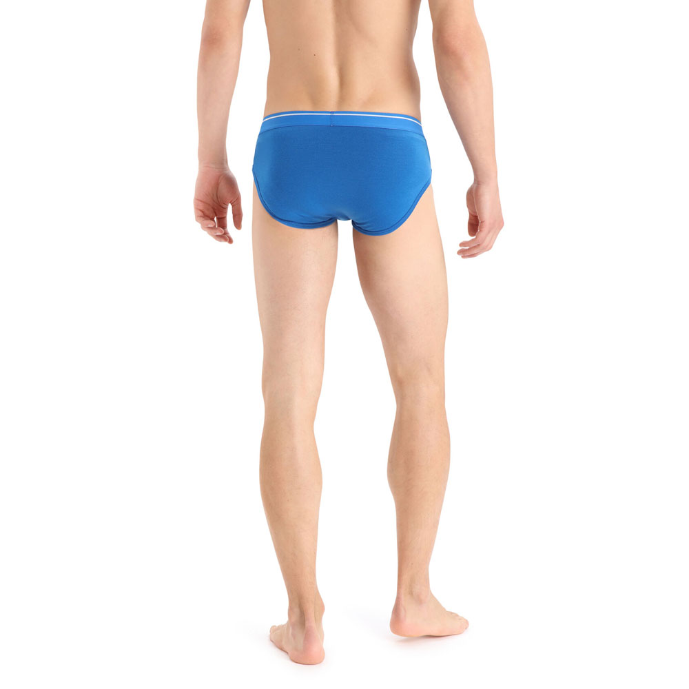 Icebreaker M ANATOMICA BRIEFS, Loden - Fast and cheap shipping