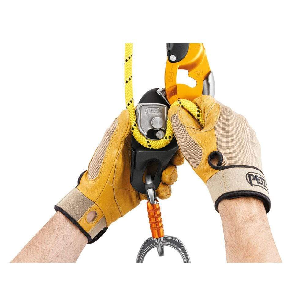 Petzl Rig Descender