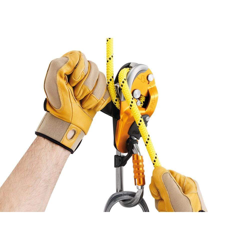 Petzl Rig Descender